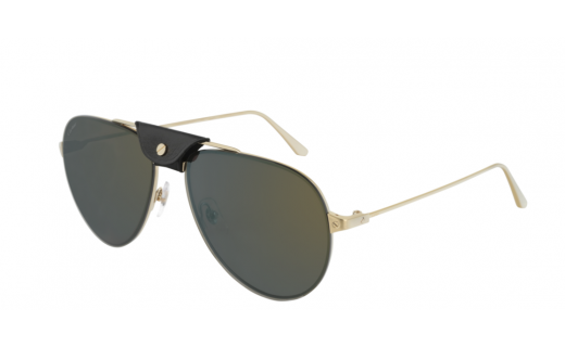 Cartier CT0166S 002 60