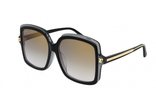 Cartier CT0196SA 001 56