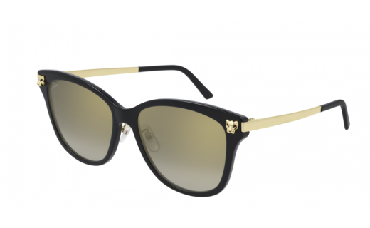 Cartier CT0264SK 001 56